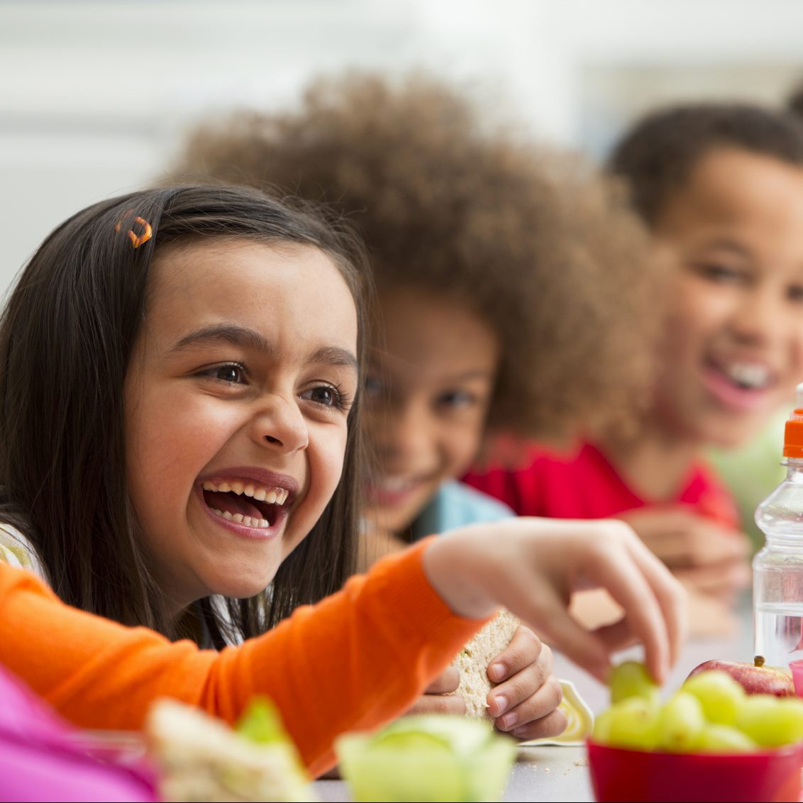 The-Importance-of-Healthy-Eating-in-Children Wagsawlife
